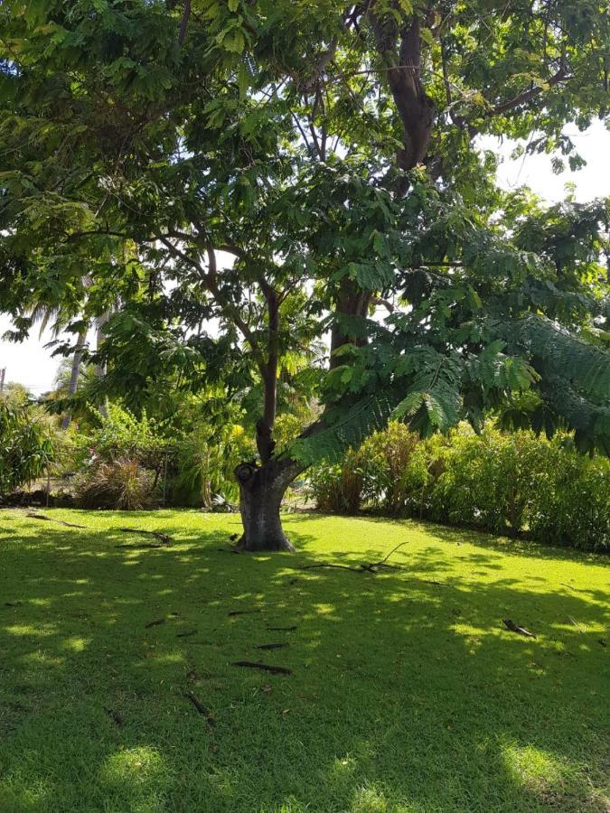 West Coast 1 Bedroom Apartment 66 - Close To Beach Saint James Extérieur photo